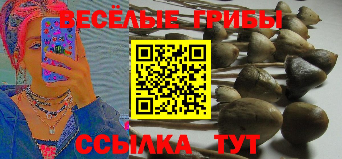 Псилоцибиновые грибы мухоморы  Псилоцибиновые грибы Psilocybe  Вход с VPN  Кисловодск 